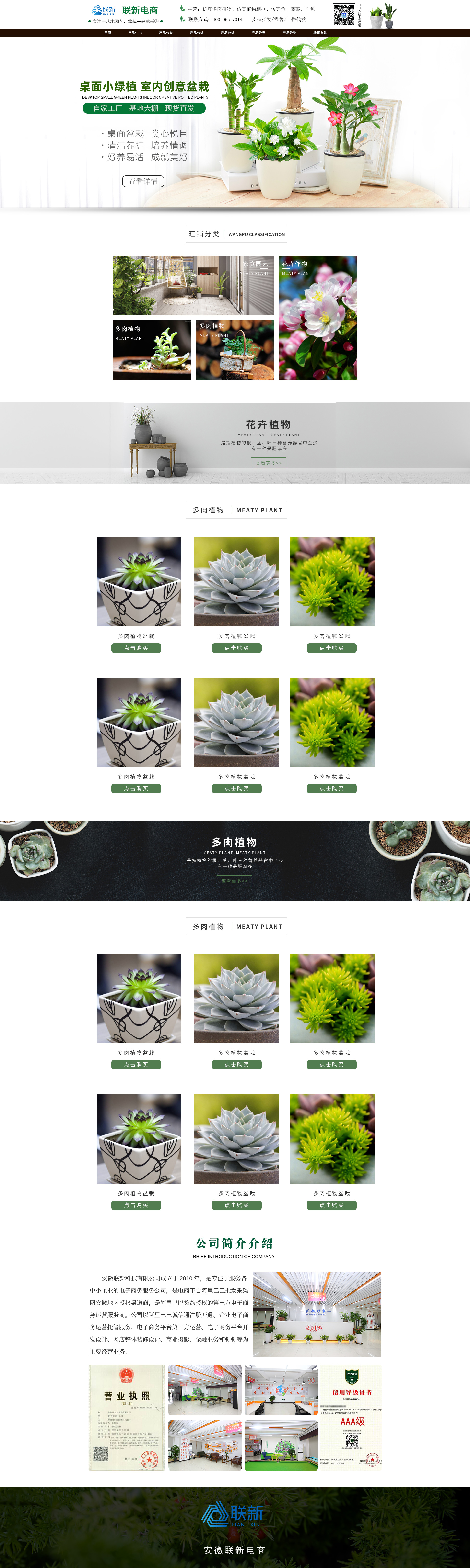 SC5010-宠物园艺-盆栽-绿色.jpg