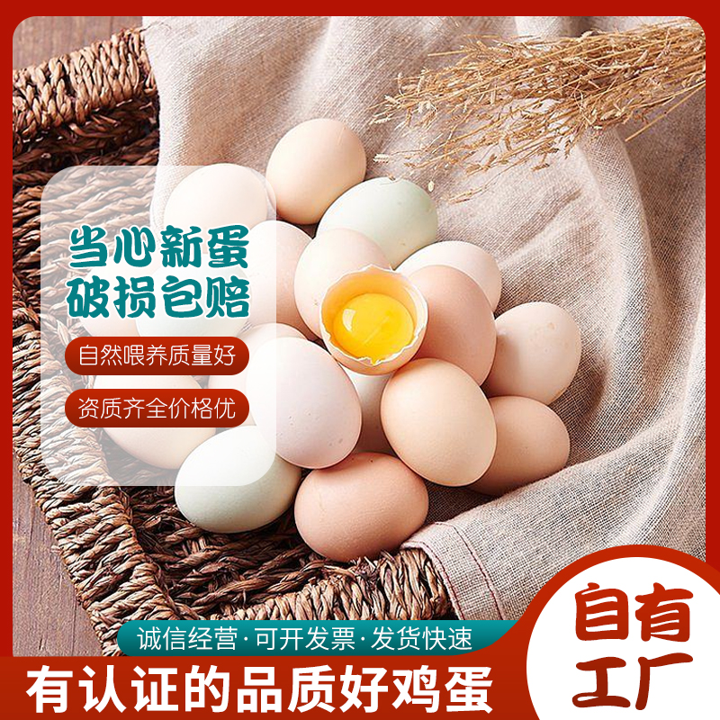 ZT5106-食品饮料-红色.jpg