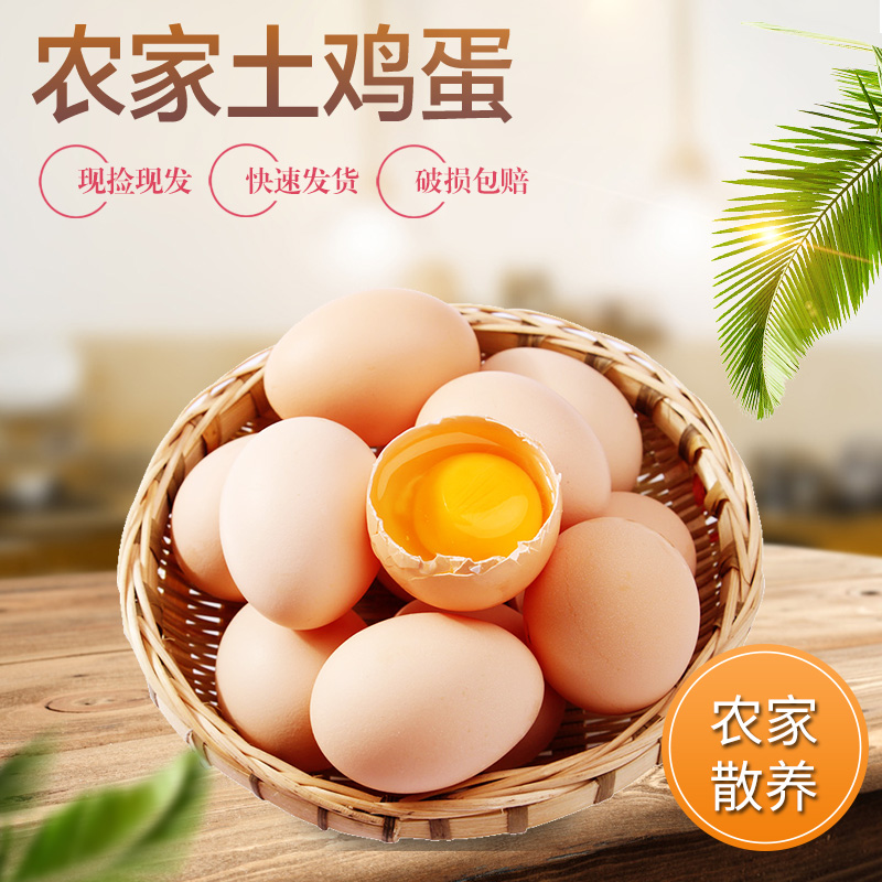 ZT5116-食品饮料-黄色.jpg