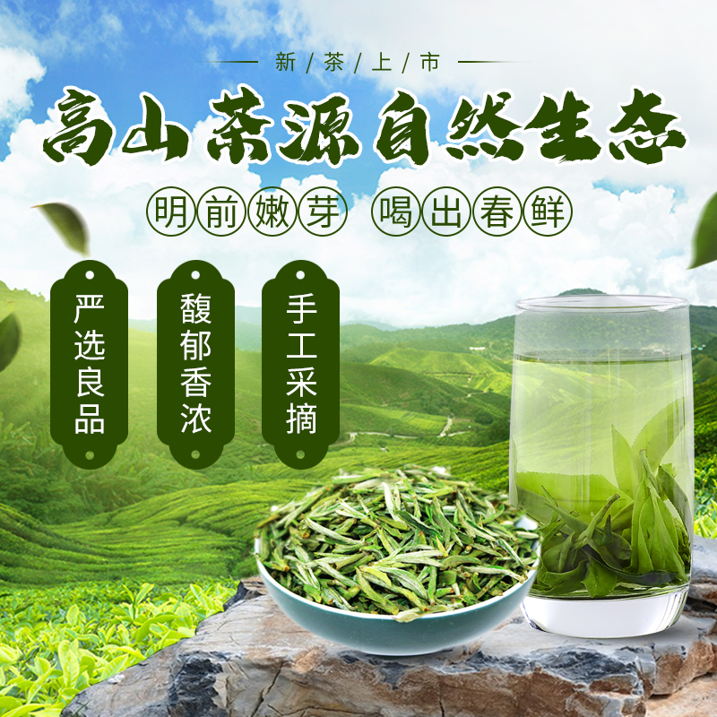 ZT5293-食品饮料-绿色.jpg